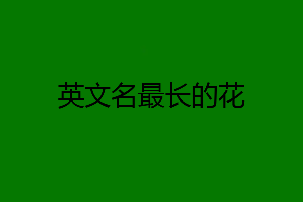 英文名最长的花