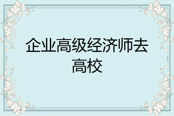 企业高级经济师去高校