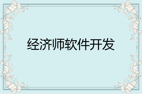 经济师软件开发