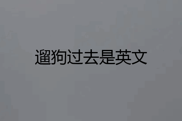 遛狗过去是英文