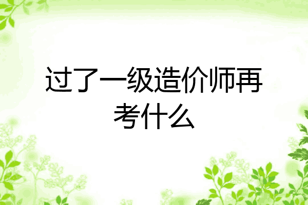 过了一级造价师再考什么