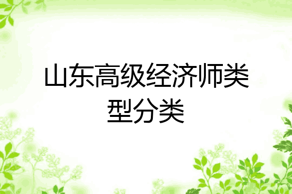 山东高级经济师类型分类