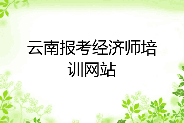 云南报考经济师培训网站