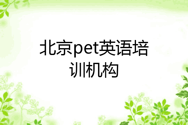 北京pet英语培训机构
