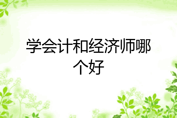 学会计和经济师哪个好