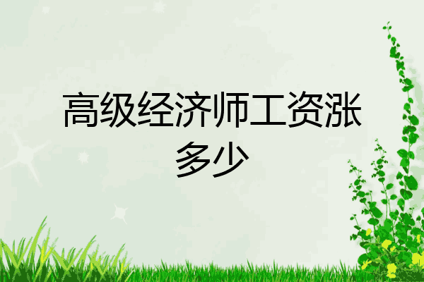 高级经济师工资涨多少