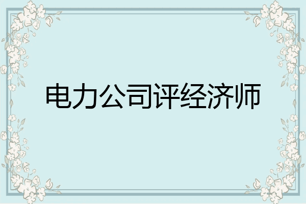 电力公司评经济师