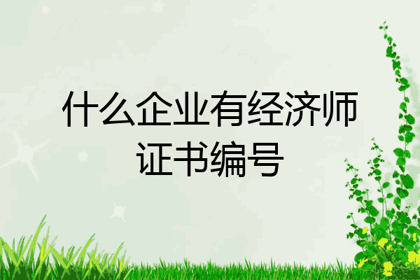 什么企业有经济师证书编号