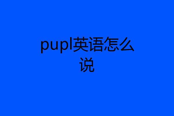 pupl英语怎么说
