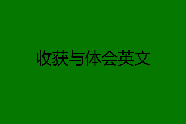收获与体会英文