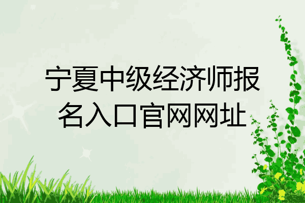 宁夏中级经济师报名入口官网网址