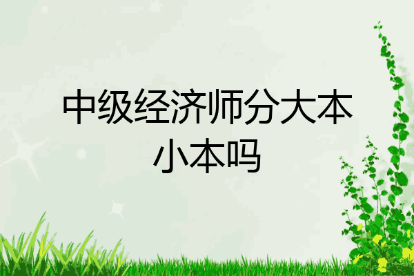 中级经济师分大本小本吗