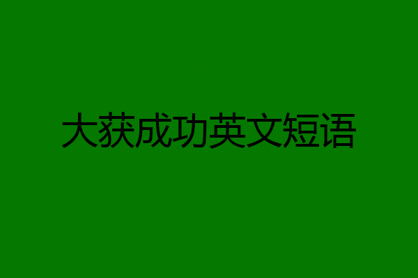 大获成功英文短语