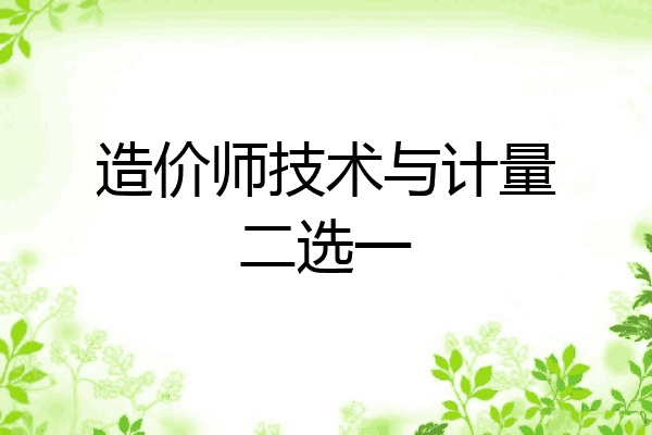 造价师技术与计量二选一