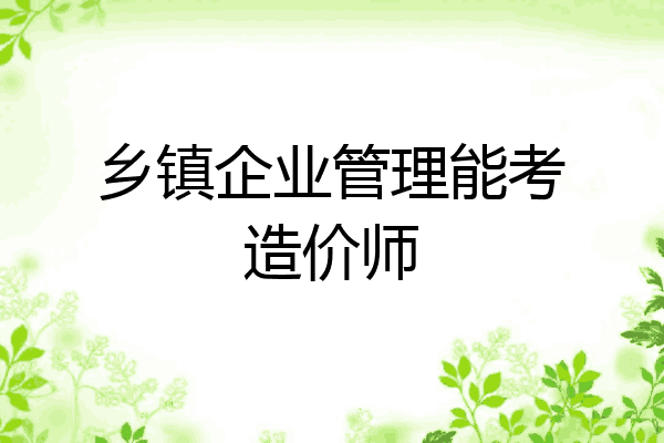 乡镇企业管理能考造价师