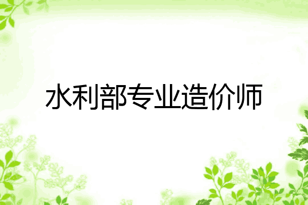 水利部专业造价师