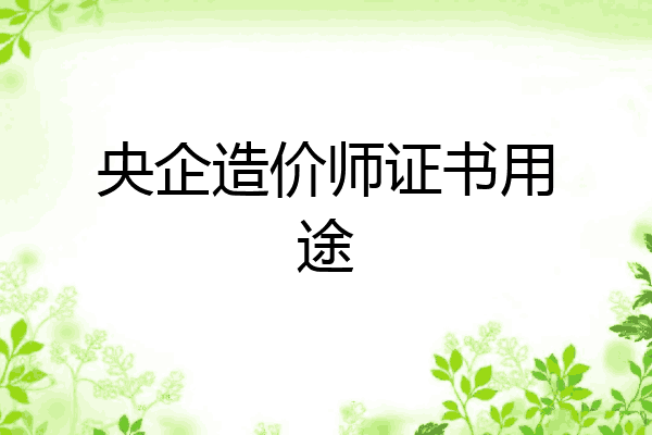 央企造价师证书用途