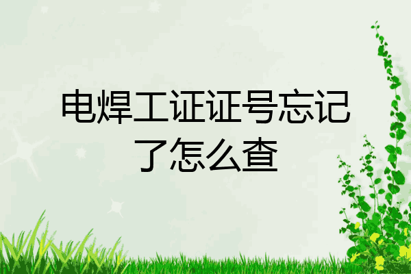 电焊工证证号忘记了怎么查