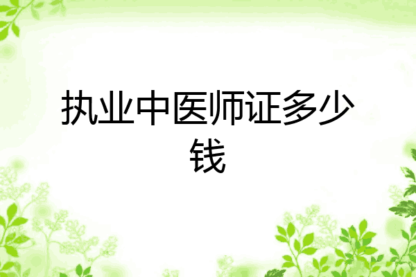 执业中医师证多少钱