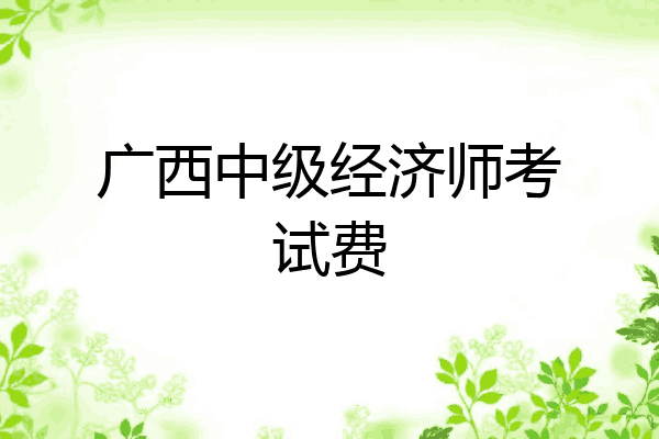 广西中级经济师考试费