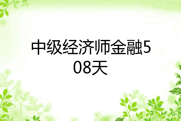 中级经济师金融508天