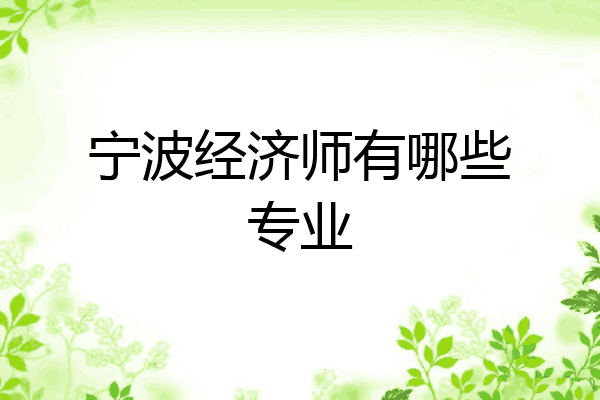 宁波经济师有哪些专业