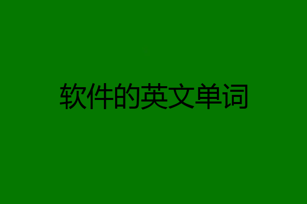 软件的英文单词