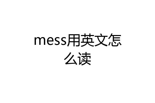 mess用英文怎么读