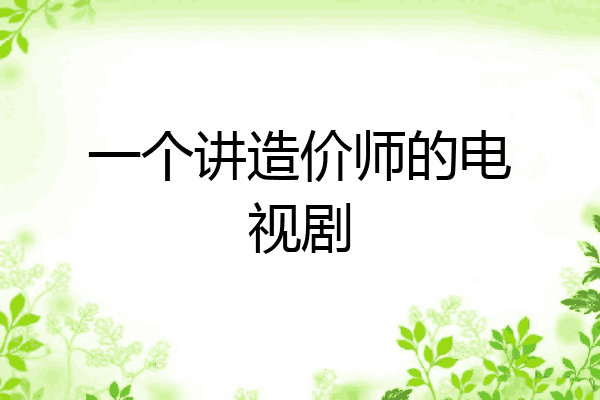 一个讲造价师的电视剧