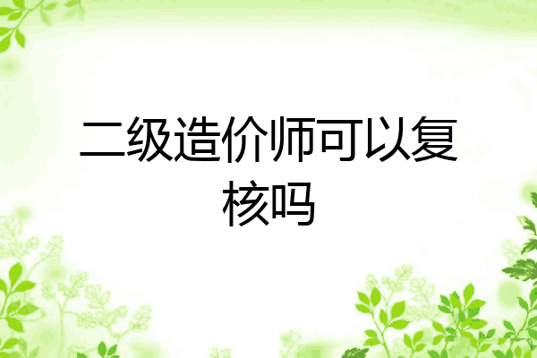 二级造价师可以复核吗