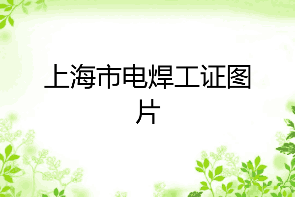 上海市电焊工证图片