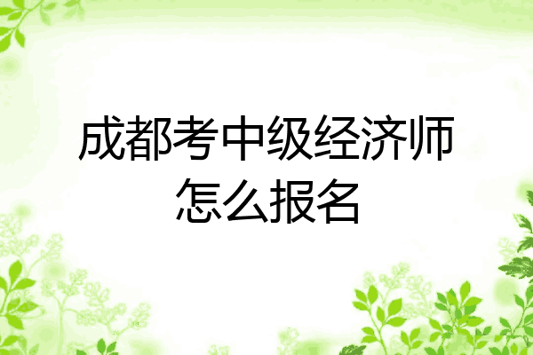 成都考中级经济师怎么报名
