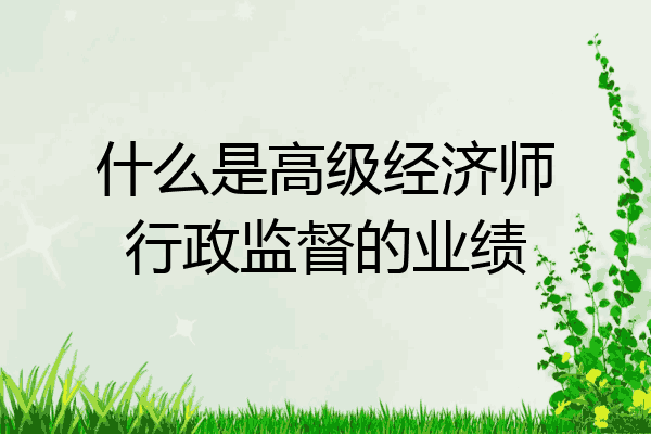 什么是高级经济师行政监督的业绩