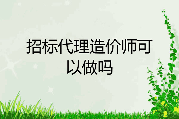 招标代理造价师可以做吗