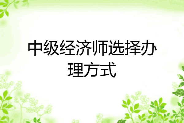 中级经济师选择办理方式