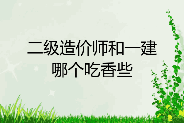 二级造价师和一建哪个吃香些