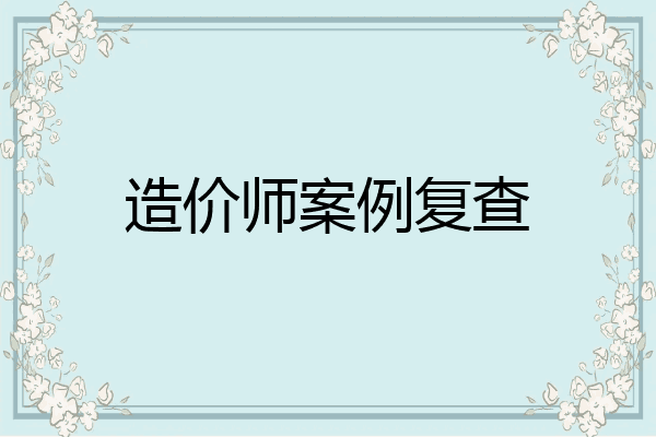 造价师案例复查