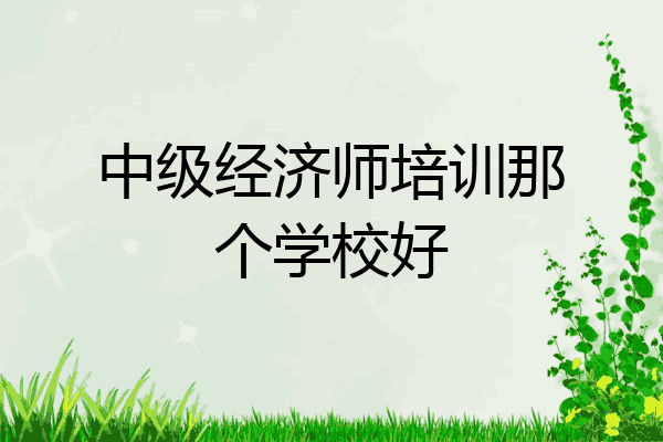 中级经济师培训那个学校好