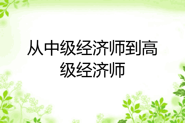 从中级经济师到高级经济师