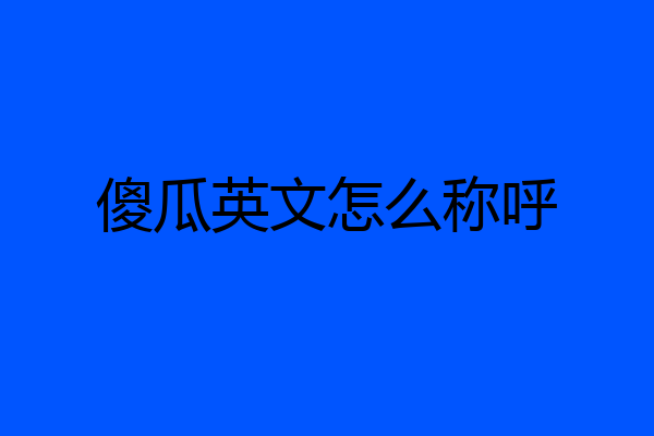 傻瓜英文怎么称呼