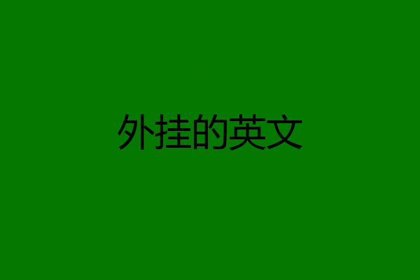 外挂的英文