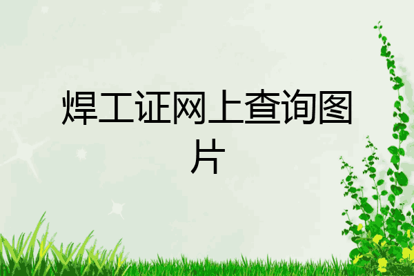 焊工证网上查询图片