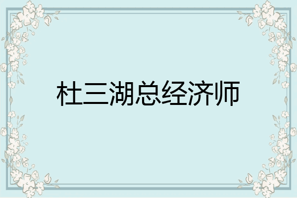 杜三湖总经济师