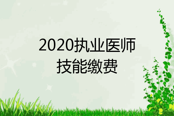 2020执业医师技能缴费