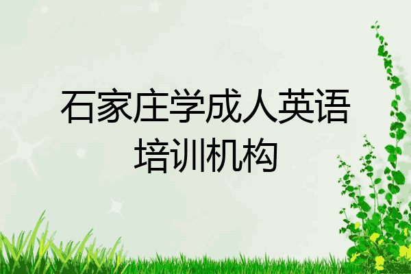 石家庄学成人英语培训机构