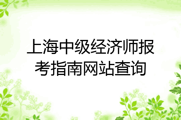 上海中级经济师报考指南网站查询