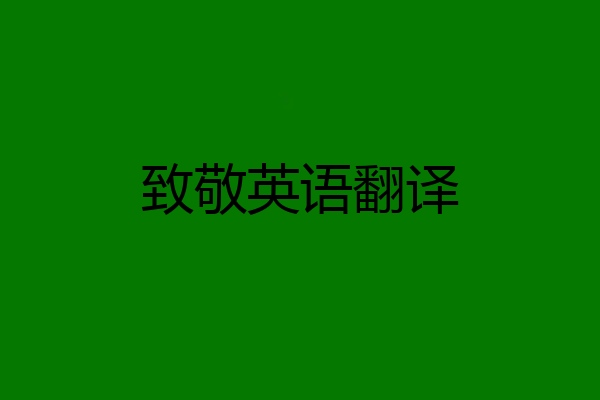 致敬英语翻译