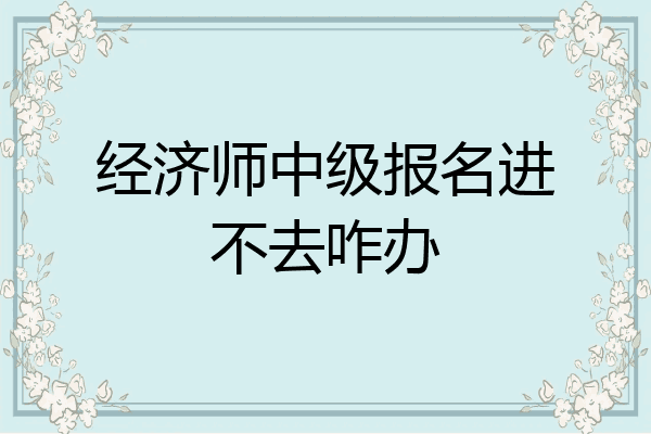 经济师中级报名进不去咋办
