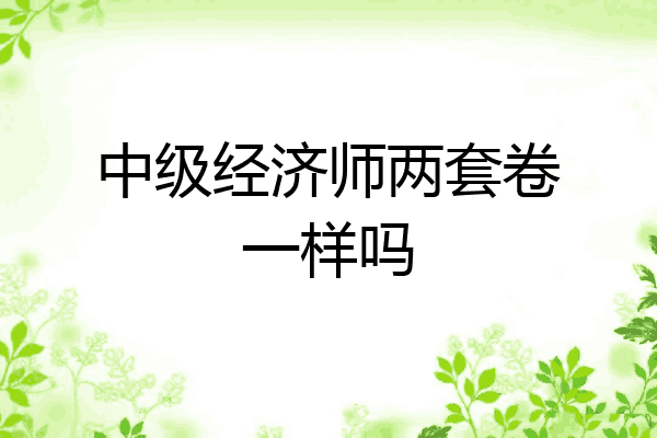 中级经济师两套卷一样吗
