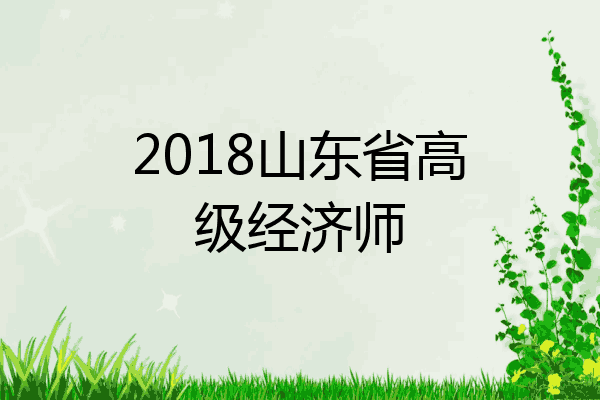2018山东省高级经济师